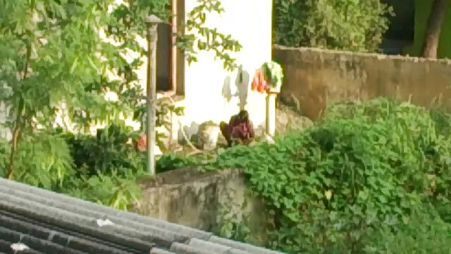 নাইলন, স্বর্ণকেশী, সুন্দরী www xxx বাংলা বালিকা