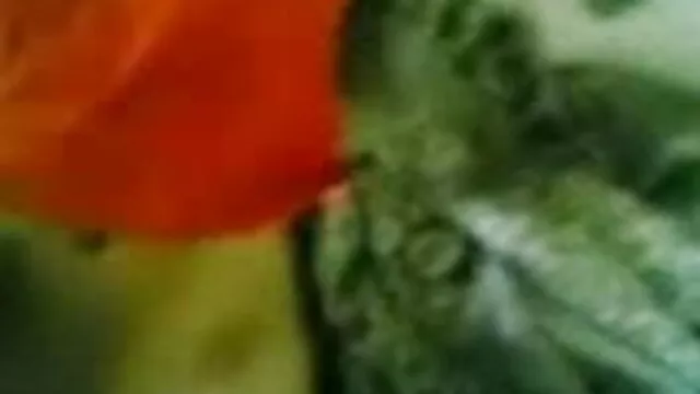 হোটেলের রুমে দেখুন পর সফর বাংলা xxx ভিডিও