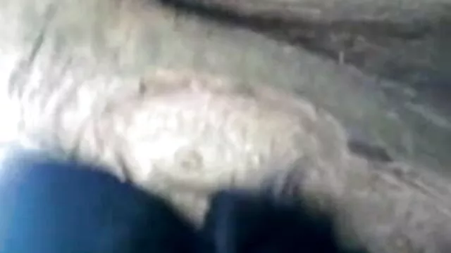বাঁড়ার বাংলা নাইকা xxx রস খাবার