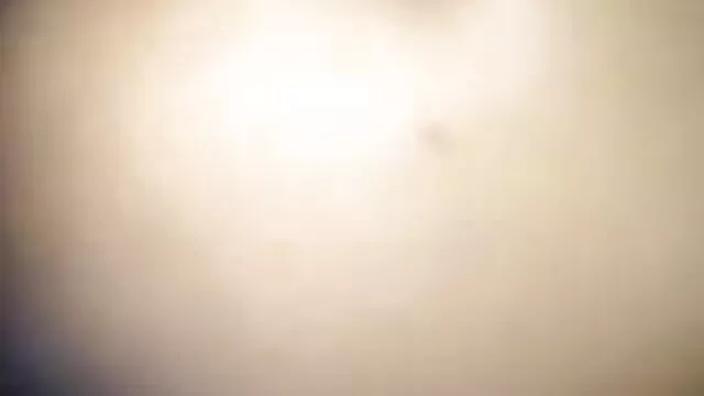 স্বামী xxx videos বাংলা ও স্ত্রী