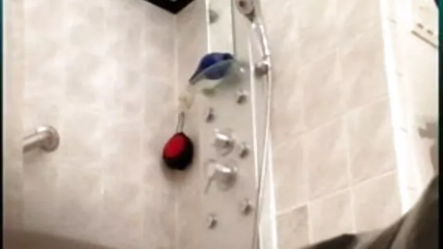 ক্যামেরার বাংলা সেকছ ভিডিও