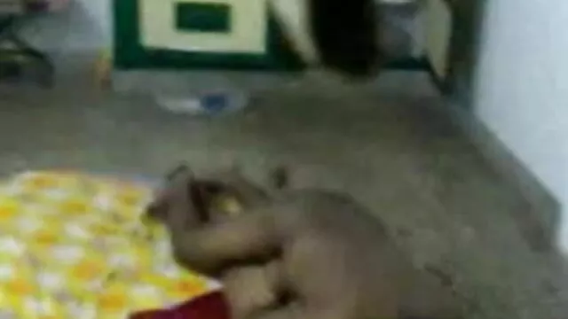 হাতের কাজ, বাংলা sex বিডিও বাঁড়ার রস খাবার