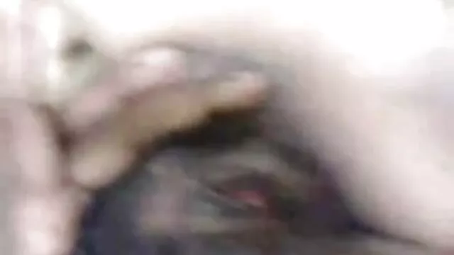 উভমুখি www বাংলা sex যৌনতার, মেয়ে হিজড়া