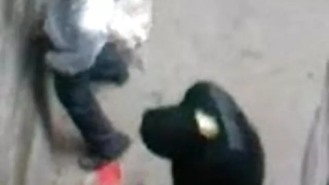 মেয়ে সমকামী www বাংলা 3 xxx