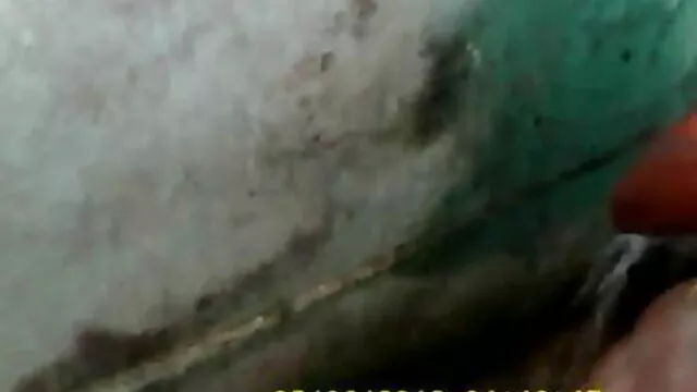 আপনার পিছনে টয়লেট বাংলা xxx video 2018 এবং উদ্ভিদ ক্রিম ভাঁজ