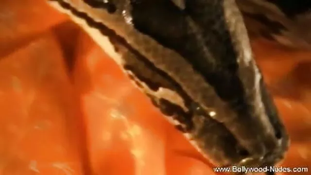 বালিকা, বাংলা দেশী xnxx গুদ, মেয়ে সমকামী, চুম্বন