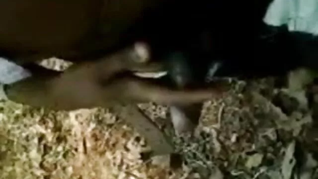 মেয়ে www বাংলা 3 xxx সমকামী, সুন্দরী বালিকা
