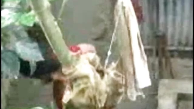 সুন্দরী বালিকা, বাংলা হট sex অপেশাদার, দুর্দশা