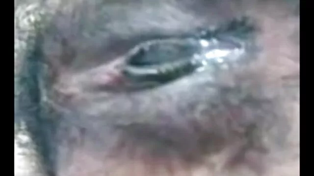 বহু পুরুষের বাংলা sex x এক নারির,