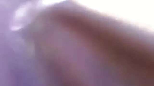 আপনার আঙ্গুলের সঙ্গে আলতো বাংলা xx hd পোষা বিড়াল