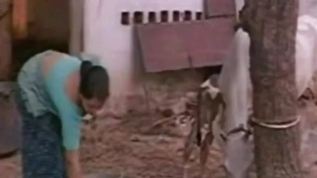 বনে রাস্তা বাংলা xx hd কোঁকড়া কমানো