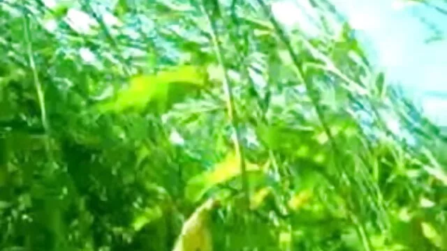 স্বামী ও বাংলা xxx sex video স্ত্রী