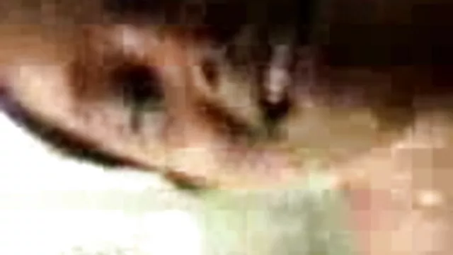 সুন্দর বাংলা 3 sex প্যান্টিহস প্রতিমা সুন্দরী বালিকা নাইলন