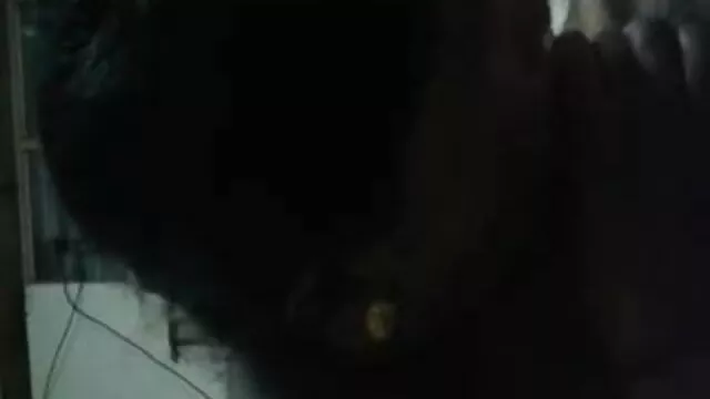 স্বামী ও www বাংলা xxx video স্ত্রী