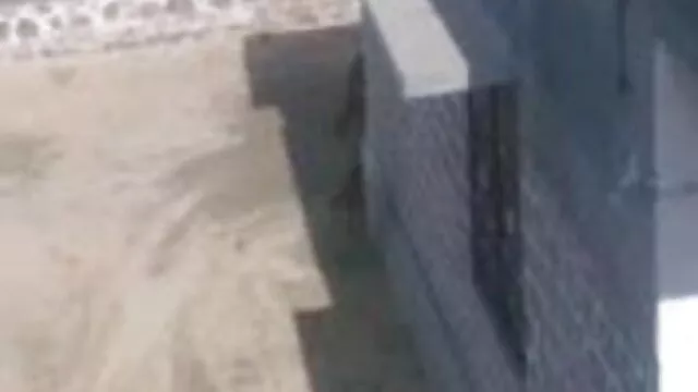 হলওয়ে বাংলা xxx mp3 তাকান