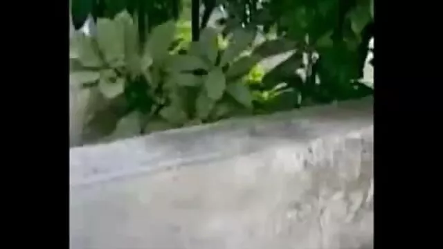 বাঁড়ার রস খাবার xnxx বাংলা video
