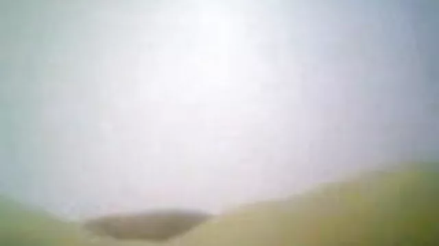 মুখ, রসালো, বাংলা xn xx com শ্যামাঙ্গিণী