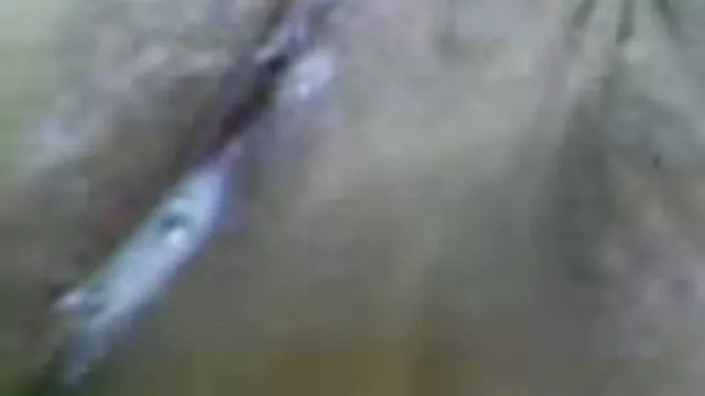 শাশুড়ী খুব বাংলা 3x video আকর্ষণীয় কিছু হয়ে ওঠে