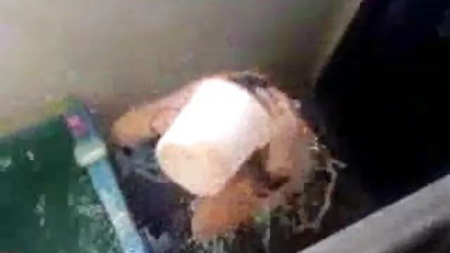 পোঁদ, বাংলা xxx ভিডিও hd পায়ু, প্যান্টিহস, পোঁদ