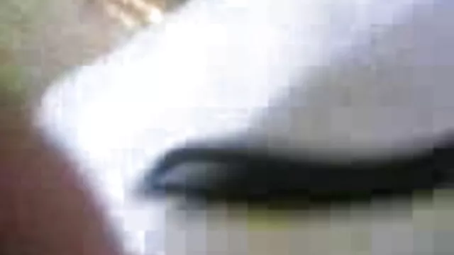 ধ্যান ধীরে বাংলা দেশি xxx videos ধীরে নরম চেহারা পরিবর্তে সুপারিশ