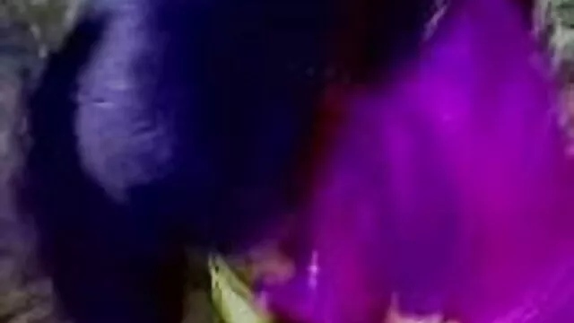 সুন্দরি সেক্সি মহিলার বাংলা ছেকস ভিডিও