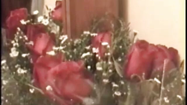 বড়ো বাংলাদেশি মেয়েদের sex video পোঁদ সুন্দরী বালিকা পায়ু বড়ো মাই